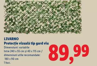 Protecție vizuală tip gard viu