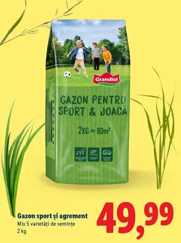 Gazon sport şi agrement