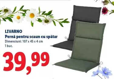 Pernă pentru scaun cu spătar