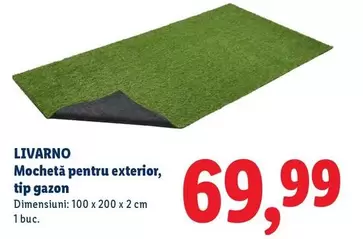 Mochetă pentru exterior, tip gazon