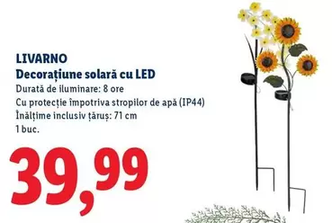 Decoraţiune solară cu LED