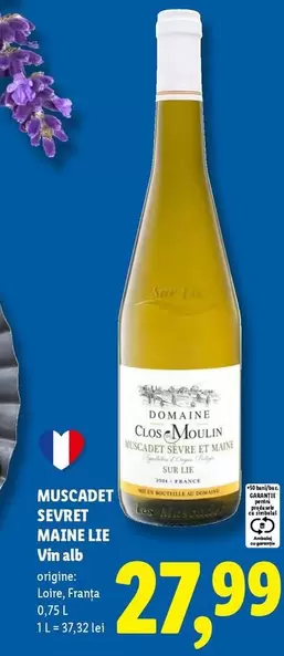 Alb - MUSCADET SEVRET MAINE LIE Vin alb
