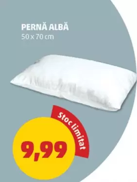 PERNĂ ALBĂ
