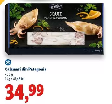 Patagonia - Calamari din