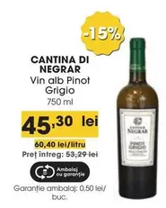 Alb - Vin alb Pinot Grigio