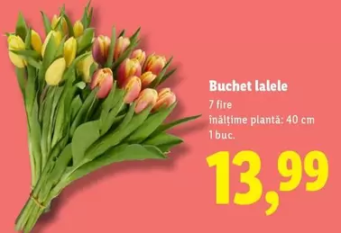 Buchet lalele