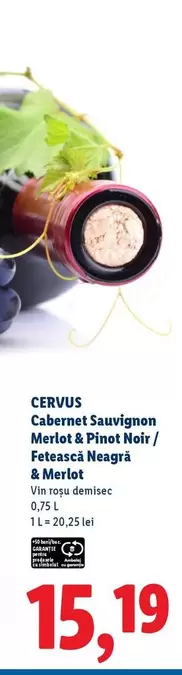 Cabernet Sauvignon Merlot & Pinot Noir / Fetească Neagră & Merlot