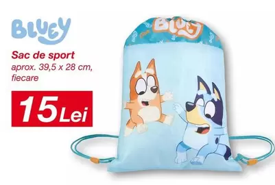 Sac de sport