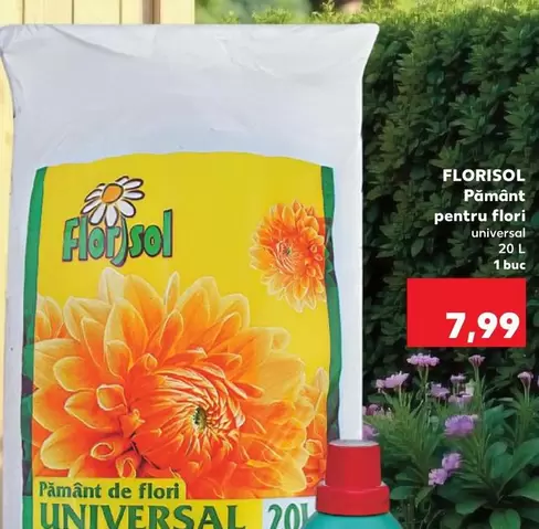 Pământ pentru flori