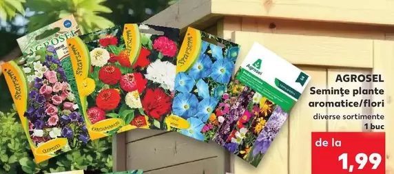 Semințe plante aromatice/flori