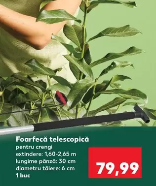 Foarfecă telescopică pentru crengi