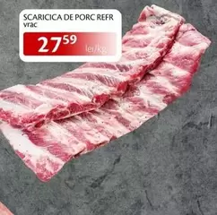 SCARICICA DE PORC REFR