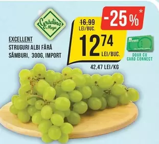 STRUGURI ALBI FĂRĂ SAMBURI