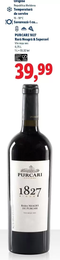 RED/NEGRU & R.DE PURPURIU