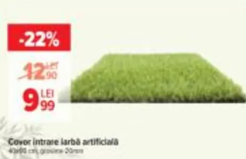 Covor intrare iarbă artificială