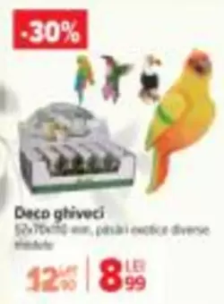 Deco ghiveci