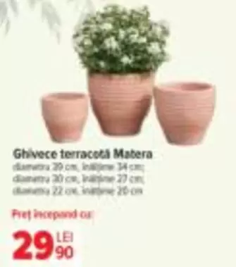Ghivece terracotă Mabera