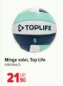 Minge volei