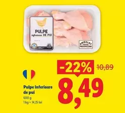 Pulpe inferioare de pui