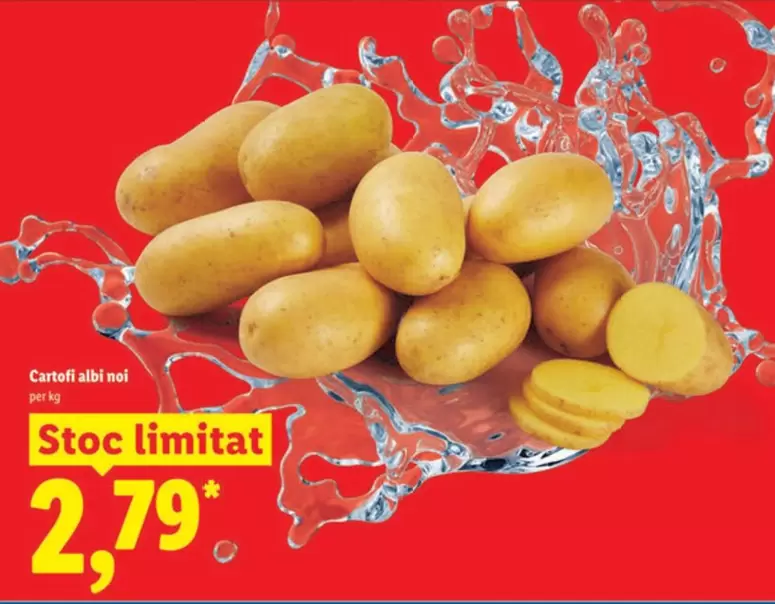 Cartofi albi noi