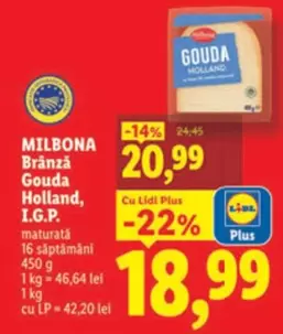 Brânză Gouda Holland, I.G.P.