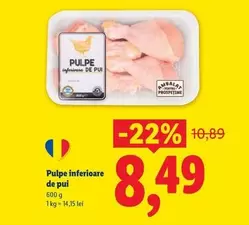 Pulpe inferioare de pui