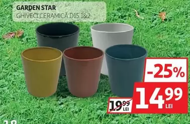 GHIVECI CERAMICA D15 I.82