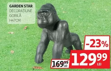 DECORAȚIUNE GORILĂ