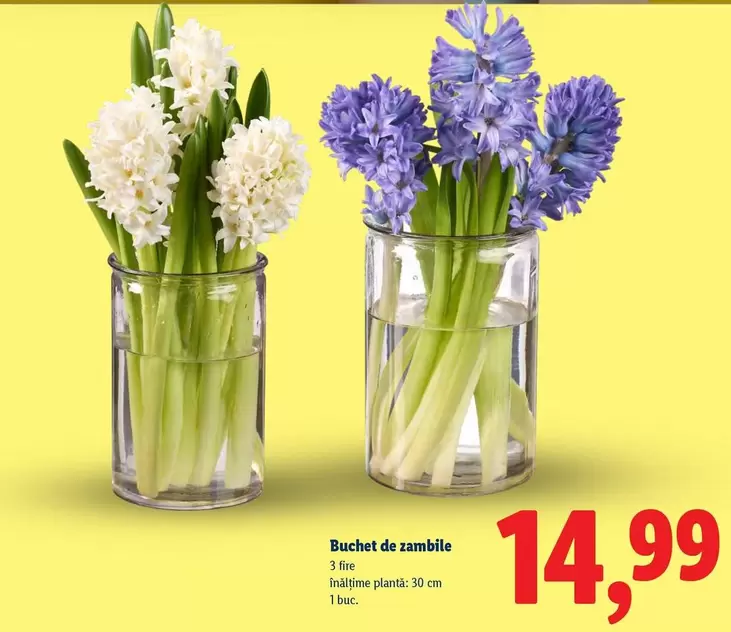 Buchet de zambile