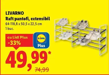 Raft pantofi, extensibil