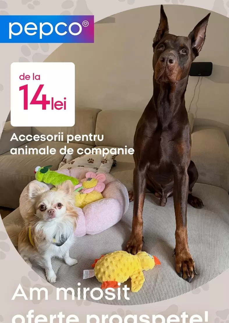 Accesorii pentru animale de companie