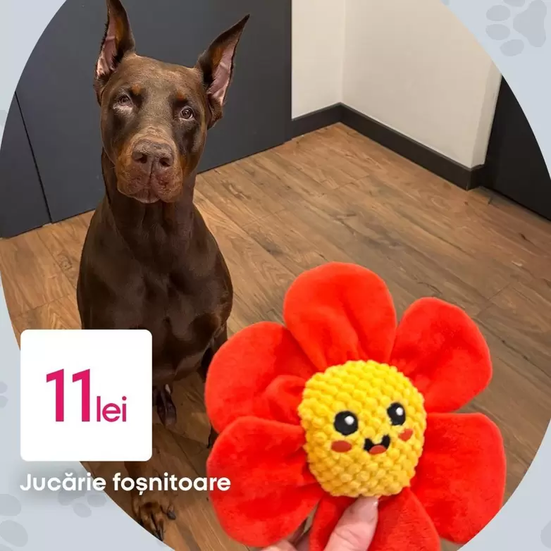 Jucării foșnitoare