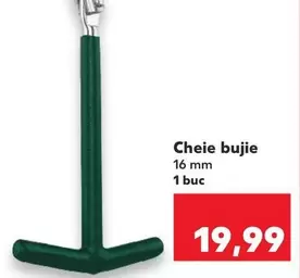 Cheie bujie