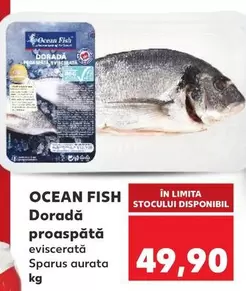 Doradă proaspătă eviscerată Sparus aurata