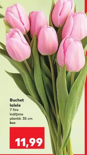 Buchet lalele