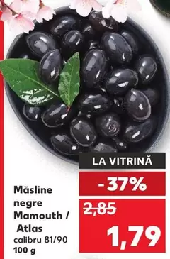 Măsline negre Mamouth / Atlas