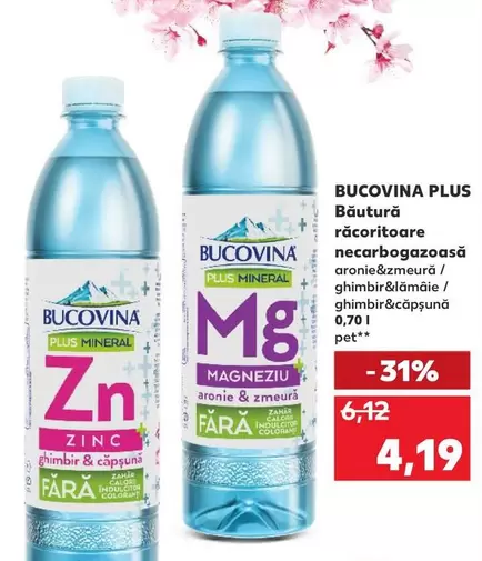 Băutură răcoritoare necarbogazoasă aronie&zmeura/ ghimbir&lămâie / ghimbir&căpşună