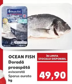 Doradă proaspătă eviscerată Sparus aurata