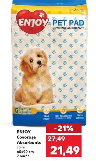 Covoraşe Absorbante câini