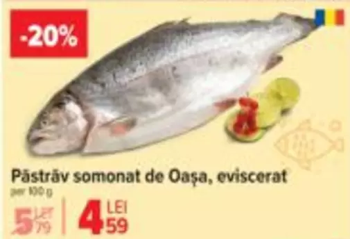 Păstrăv somonat de Oașa, eviscerat