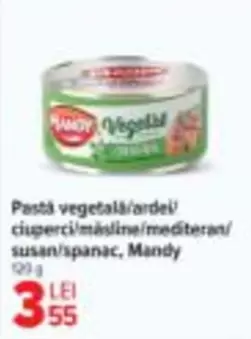 Pastă vegetală