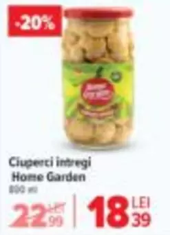 Ciuperci intregi