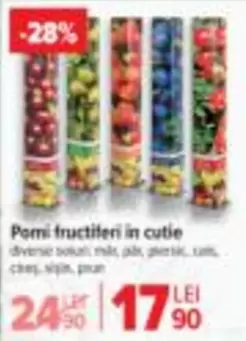 Pomi fructiferi in cutie