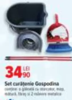 Set curățenie Gospodina