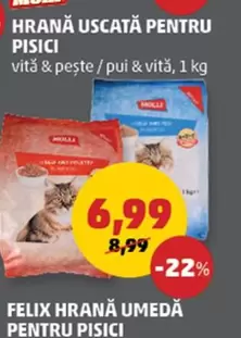 HRANĂ USCATĂ PENTRU PISICI