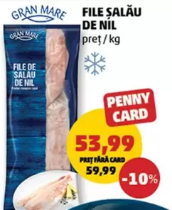 FILE DE SALAU DE NIL