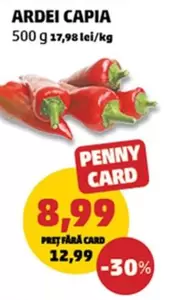 ARDEI CAPIA