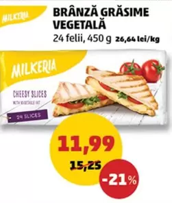 BRÂNZĂ GRĂSIME VEGETALĂ