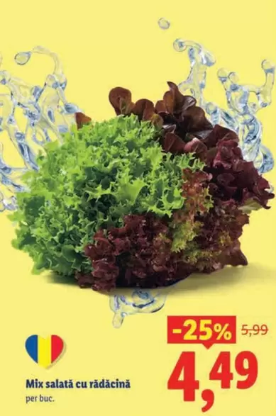 Mix salată cu rădăcină