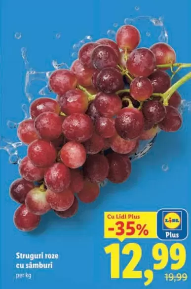 Struguri roze cu samburi